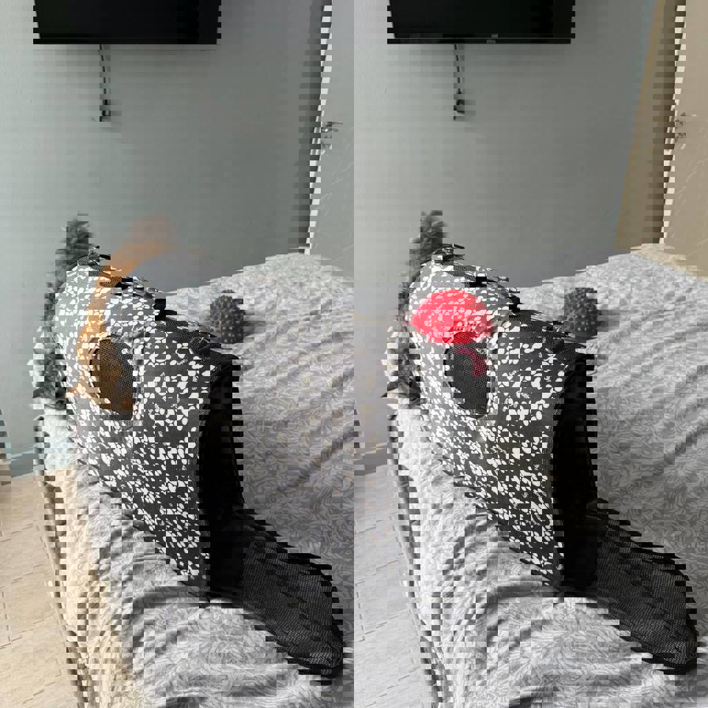 Переноска для кошки / маленькой собачки