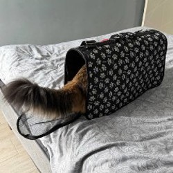 Переноска для кошки / маленькой собачки - фото 3