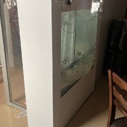 Аквариум - фото 2