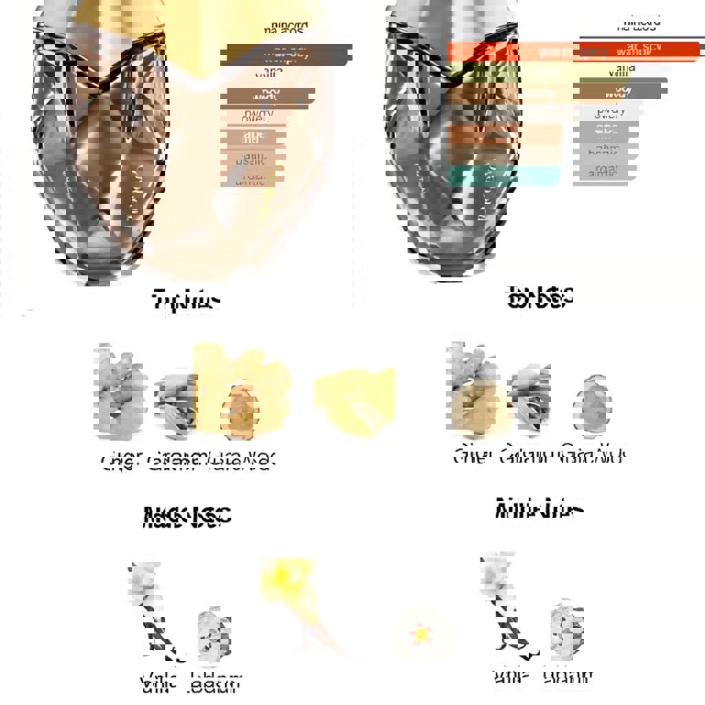 Парфюм Bella Hadid Nightcap