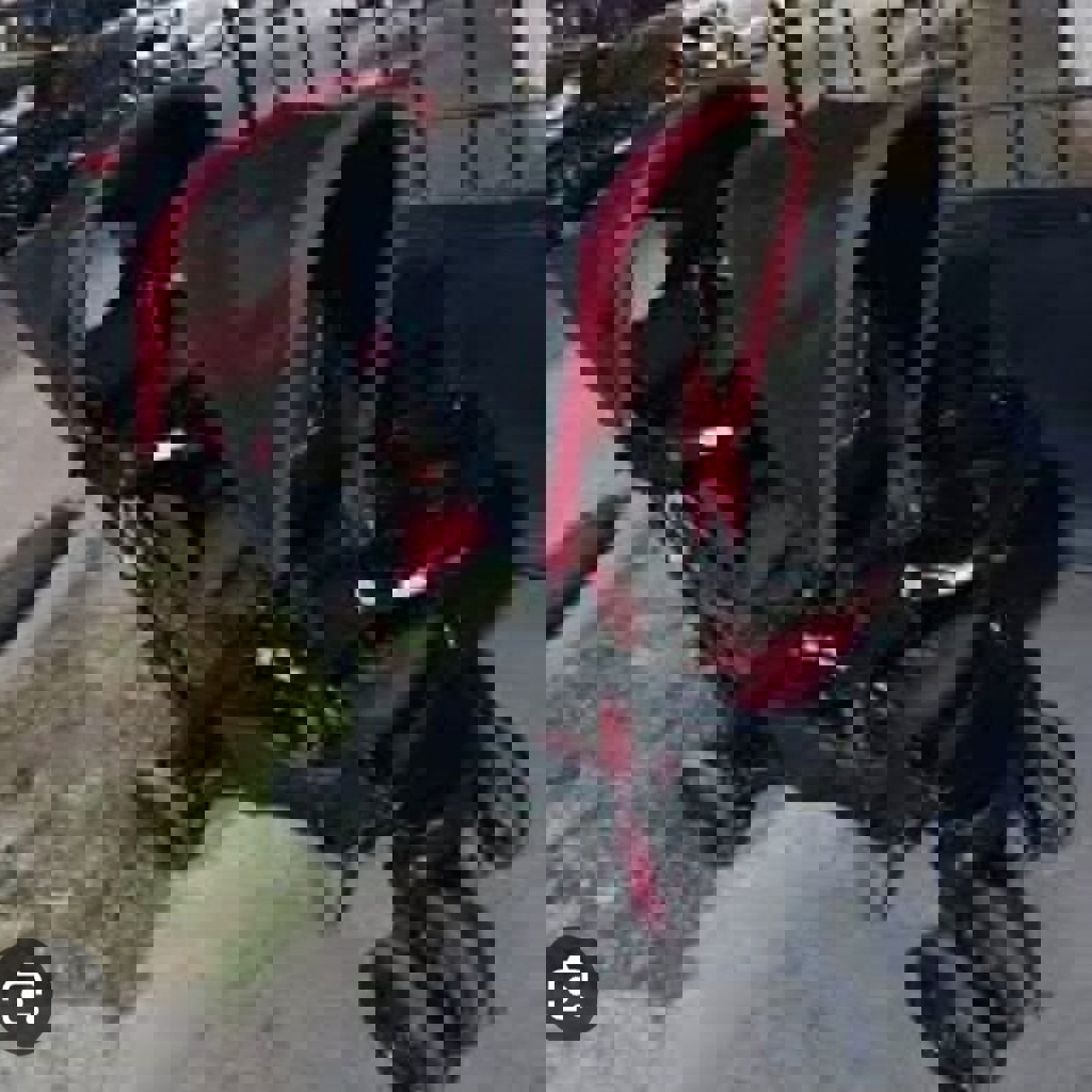 Коляска для близнецов