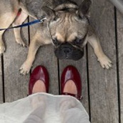 Балетки Zara - фото 3