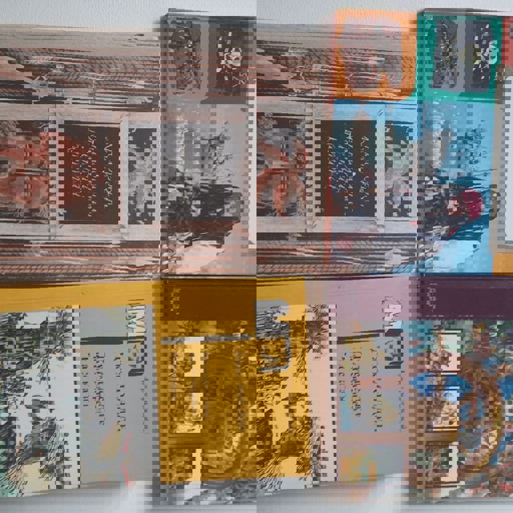 Жюль Верн «Пятнадцатилетний Капитан»