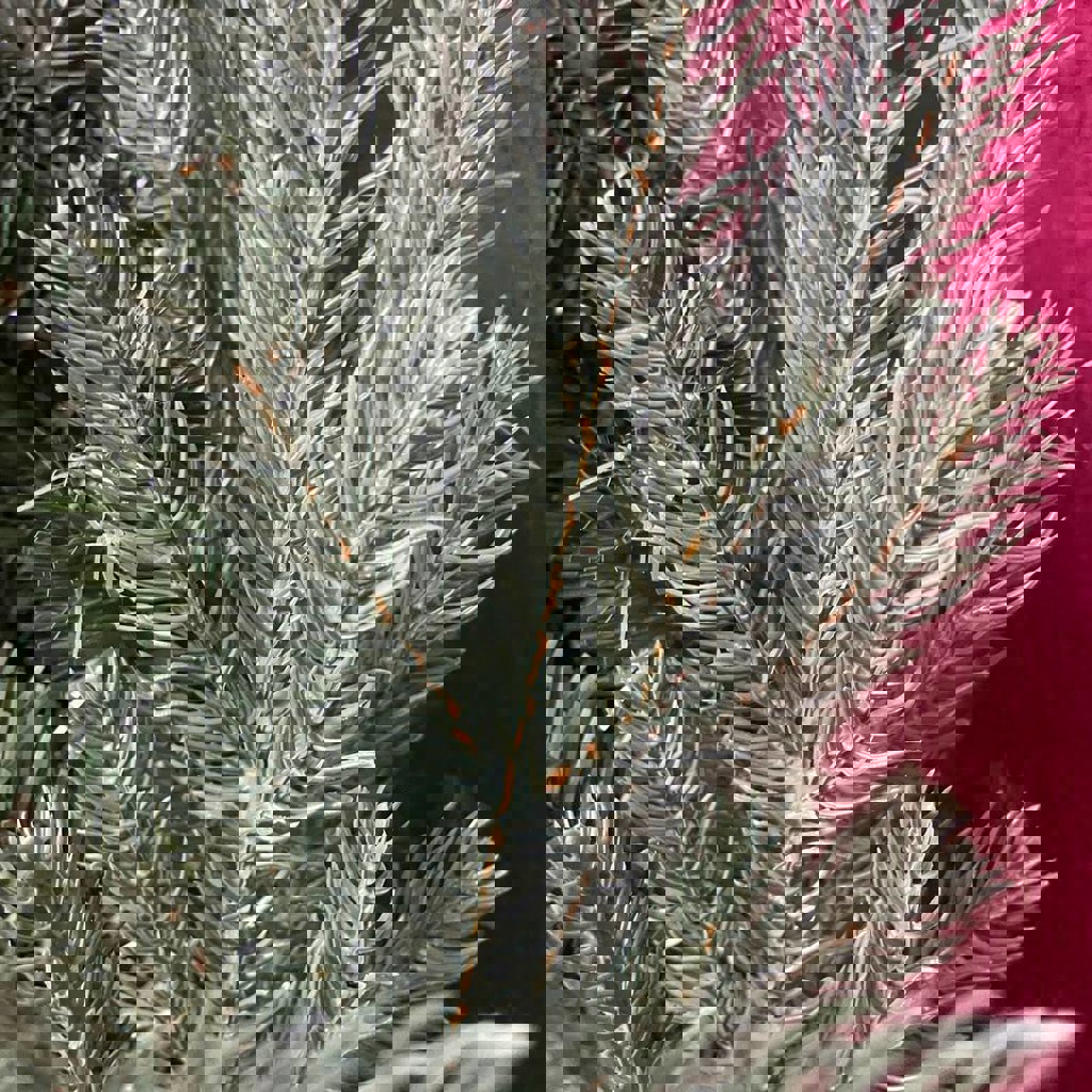 Кресло для кормления