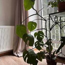 Тумба - фото 9