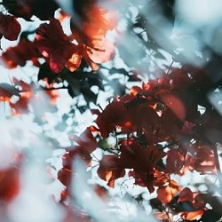 Фотофильтр - фото 4