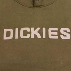 Оливковая худи Dickies Skateboarding - фото 4