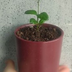 Мягкий теплый плед - фото 2