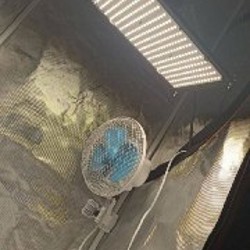 Ph и TDS - метр - фото 3