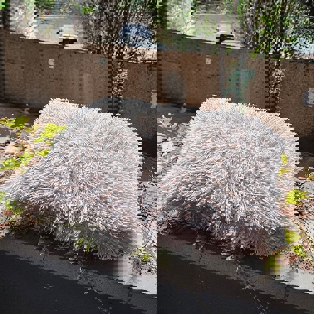 Декоративная пушистая подушка