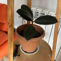 Стеклянная ваза - фото 3