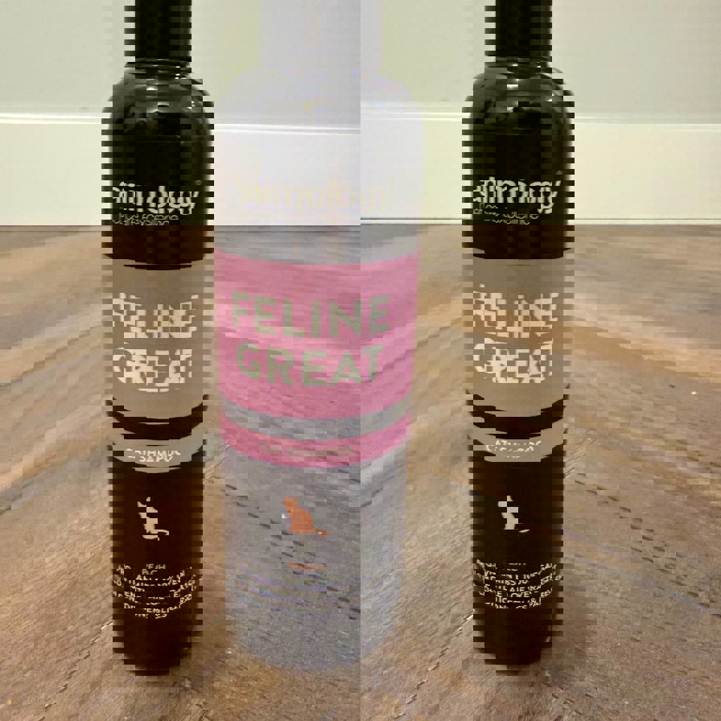 Шампунь для кошек