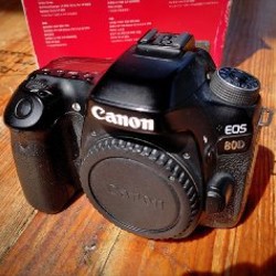 Canon 80D + kit RF-S 18–55 IS STM - фото 2