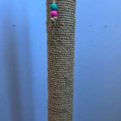 Когтеточка - фото 2