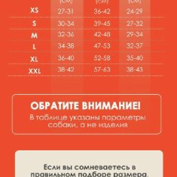 Дождевик Muzzle - фото 3