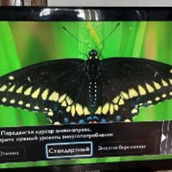 Телевизор Philips - фото 2