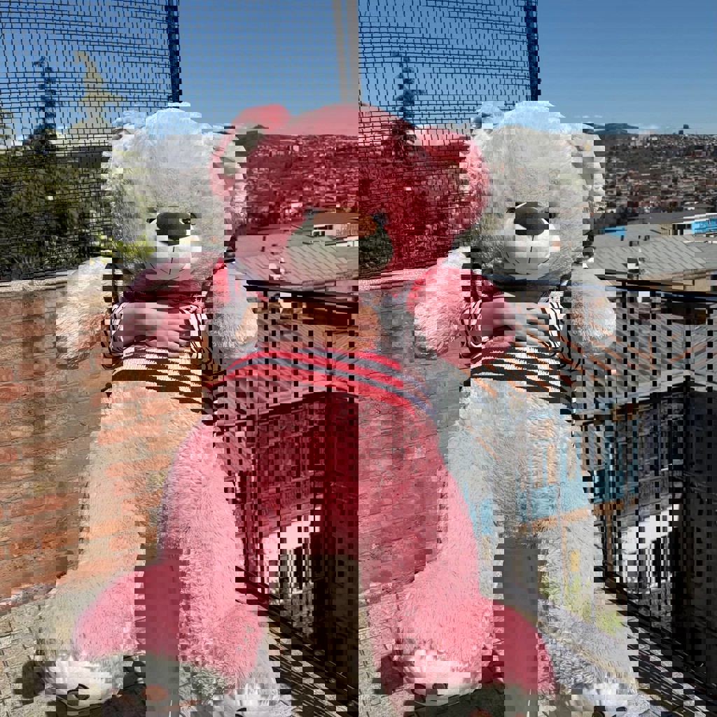 Плюшевый медведь