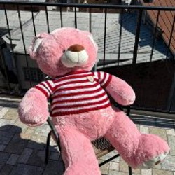 Плюшевый медведь - фото 2