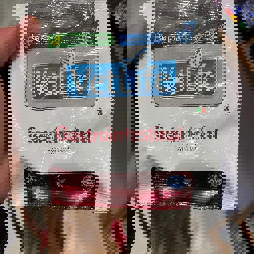 Лоток для котят