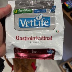 Лоток для котят - фото 1