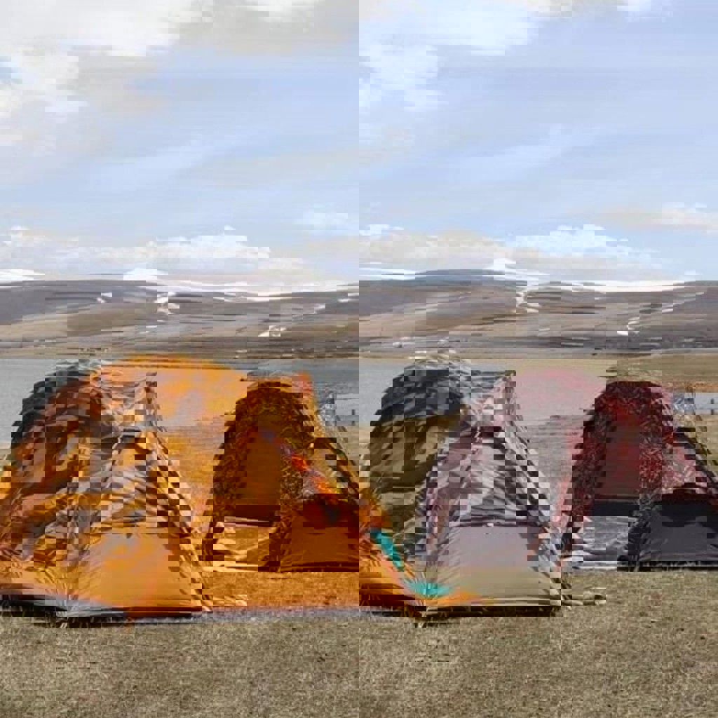 Трекинговые палки Rover