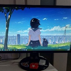 Монитор BenQ GL2460HM - фото 1