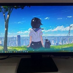 Монитор BenQ GL2460HM - фото 3