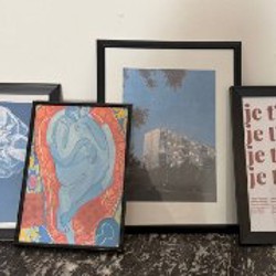 Монстера - фото 3