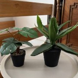 Искусственные растения - фото 2