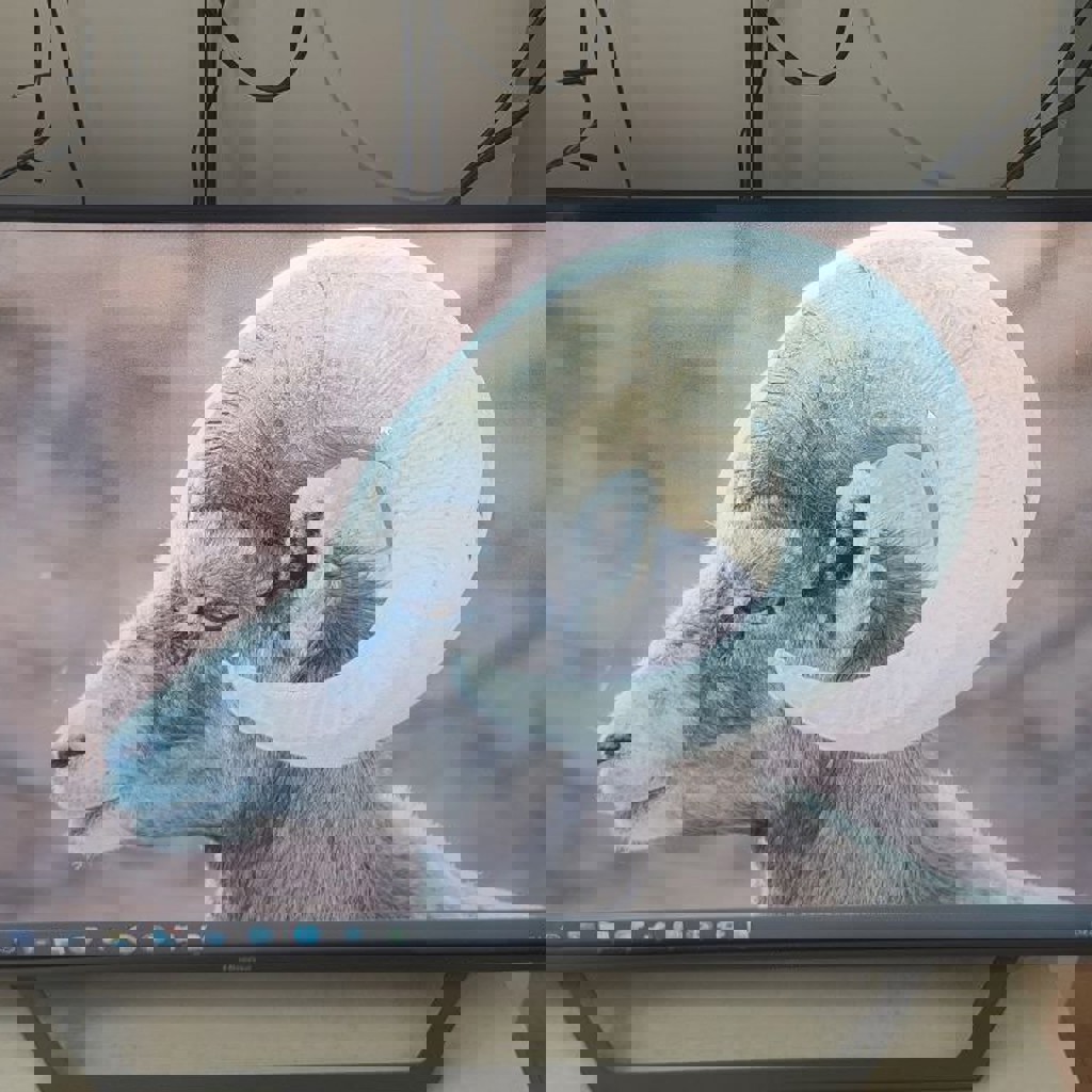 Монитор Lenovo L28u-35 28' 4K UHD