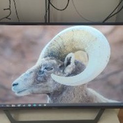 Монитор Lenovo L28u-35 28' 4K UHD - фото 1