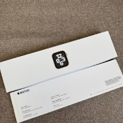 APPLE WATCH SE 40 mm GOLD - фото 4