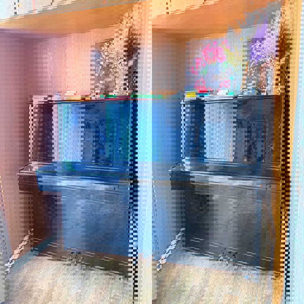 Пианино “Беларусь”