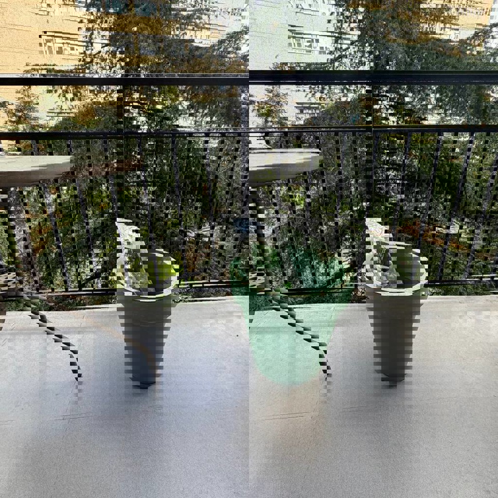 Гигантский горшок