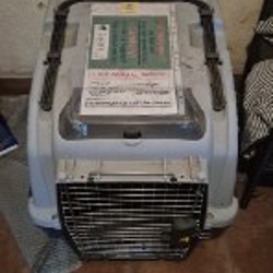 Переноска для собаки Skudo 5 - фото 2