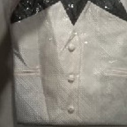 Жилет + галстук - фото 2