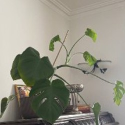 Тарелки - фото 6