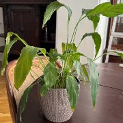 Тарелки - фото 7