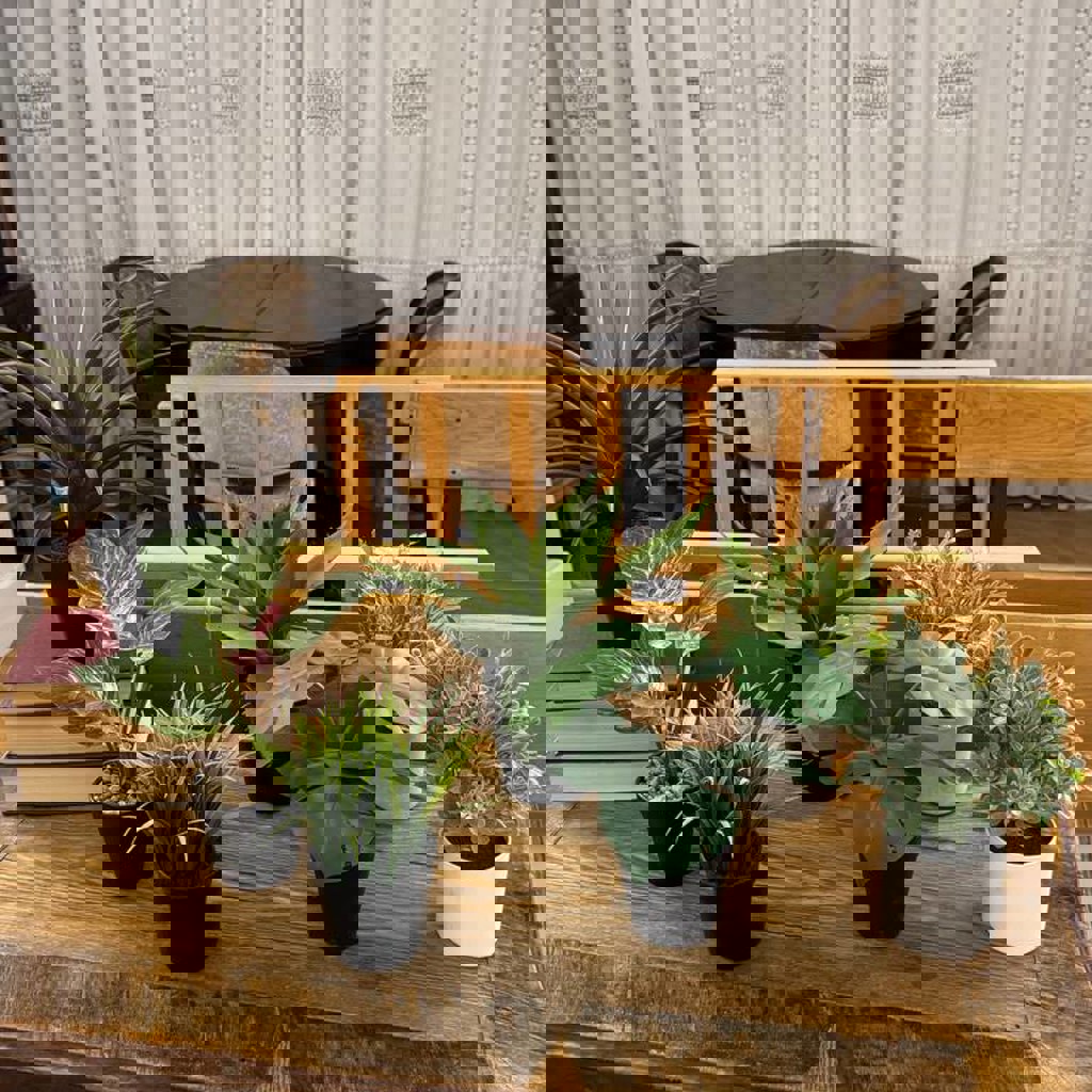 Искусственные растения