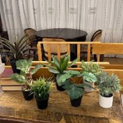 Искусственные растения - фото 1