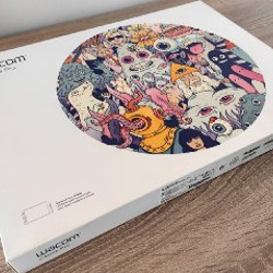 Графический планшет Wacom Intuos Pro Large - фото 3