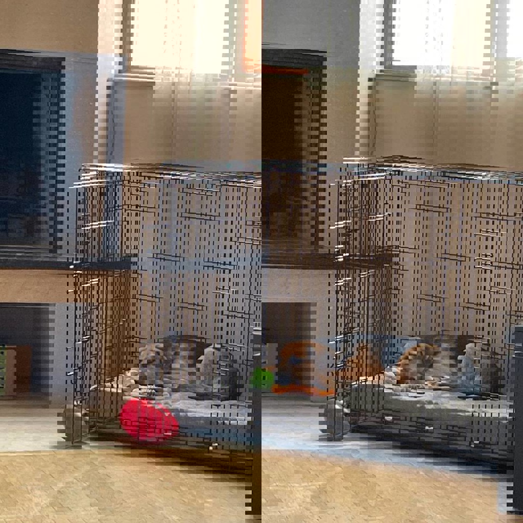 Клетка для собак