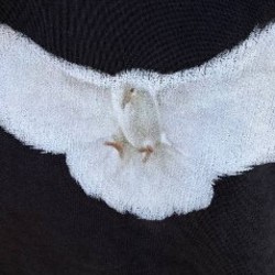 Yeezy Gap Balenciaga Dove No Seam Tee - фото 2