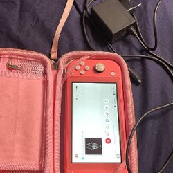 Nintendo Switch Light - фото 6