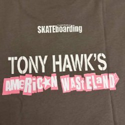 Футболка Y2K Tony Hawk's Pro Skater American Wasteland - фото 4