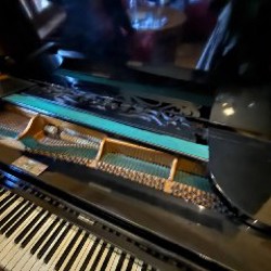 Рояль - фото 4