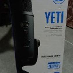 Blue Yeti - фото 4