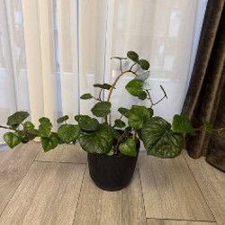 Кастрюля - фото 3