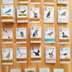 Wingspan (Крылья) - фото 5