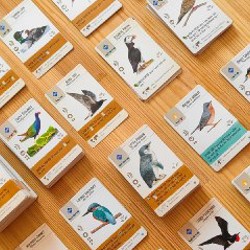 Wingspan (Крылья) - фото 7